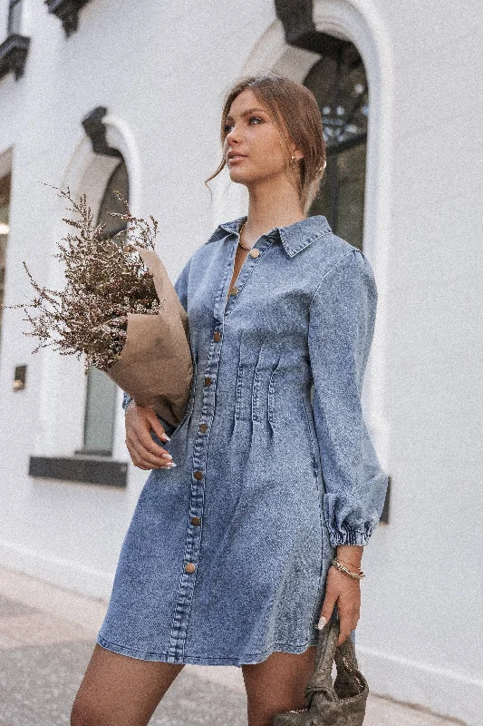 Phoenix Long Sleeve Mini Dress - Denim